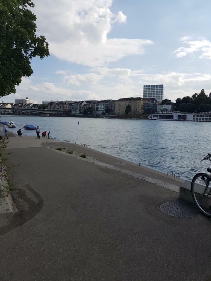 Apartment Am Rhein Basel Dış mekan fotoğraf